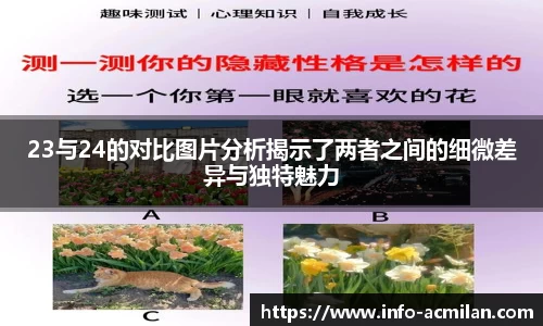 23与24的对比图片分析揭示了两者之间的细微差异与独特魅力